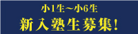サムネイル画像9