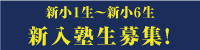 サムネイル画像9