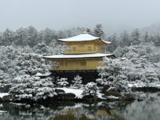 金閣、雪化粧